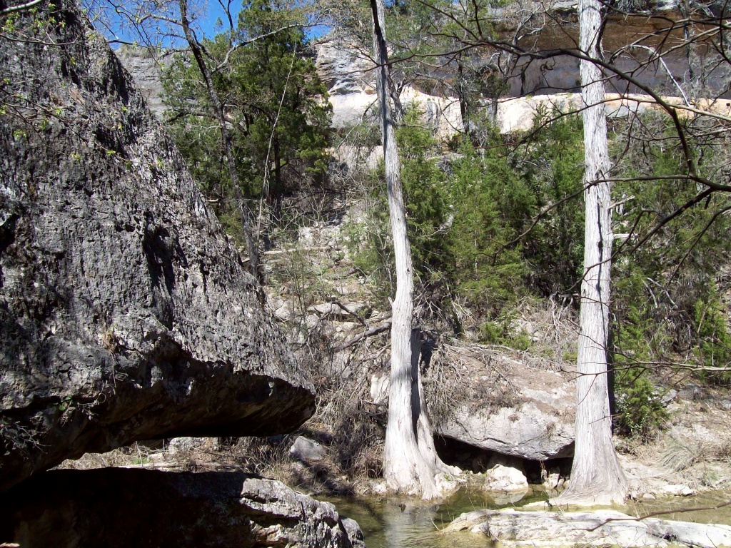 2010-03-12-Hamilton Pool-03.jpg
